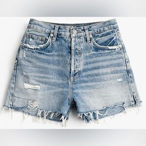 AGOLDE Dee Ultra High Rise Shorts (Ricochet wash)